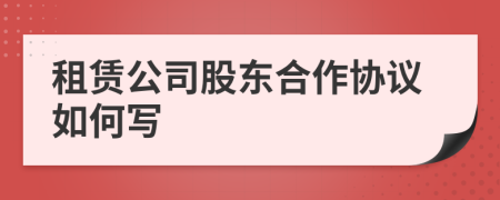 租赁公司股东合作协议如何写