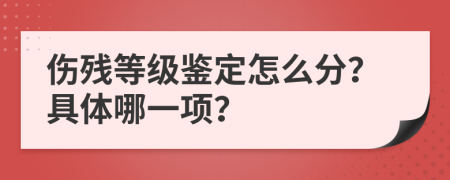 伤残等级鉴定怎么分？具体哪一项？