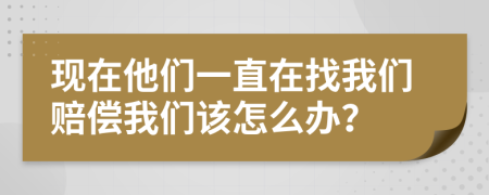 现在他们一直在找我们赔偿我们该怎么办？