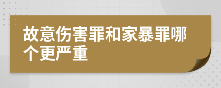 故意伤害罪和家暴罪哪个更严重