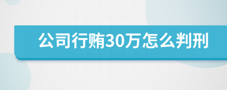 公司行贿30万怎么判刑