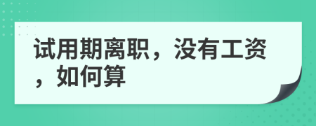 试用期离职，没有工资，如何算