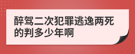 醉驾二次犯罪逃逸两死的判多少年啊