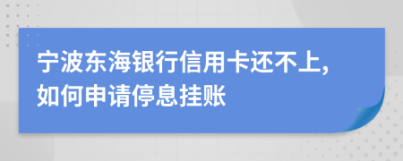 宁波东海银行信用卡还不上,如何申请停息挂账