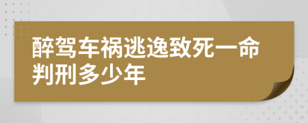 醉驾车祸逃逸致死一命判刑多少年