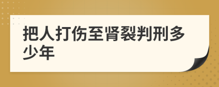 把人打伤至肾裂判刑多少年