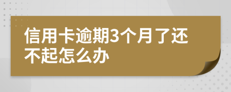 信用卡逾期3个月了还不起怎么办