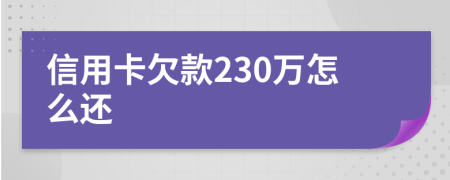 信用卡欠款230万怎么还