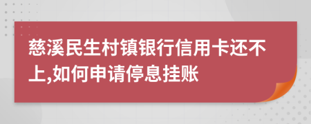慈溪民生村镇银行信用卡还不上,如何申请停息挂账