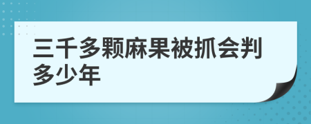三千多颗麻果被抓会判多少年