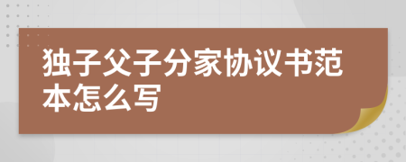 独子父子分家协议书范本怎么写