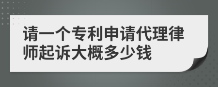 请一个专利申请代理律师起诉大概多少钱