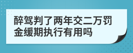 醉驾判了两年交二万罚金缓期执行有用吗