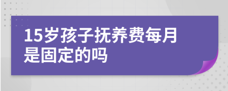 15岁孩子抚养费每月是固定的吗