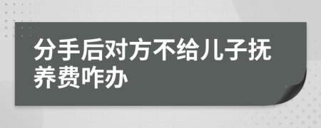 分手后对方不给儿子抚养费咋办