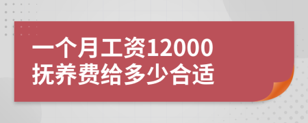 一个月工资12000抚养费给多少合适