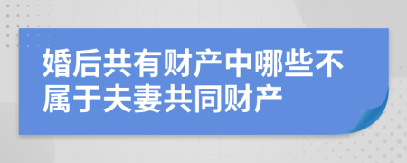 婚后共有财产中哪些不属于夫妻共同财产