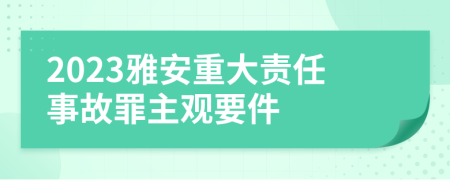 2023雅安重大责任事故罪主观要件