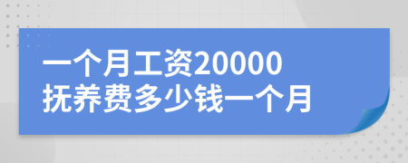 一个月工资20000抚养费多少钱一个月