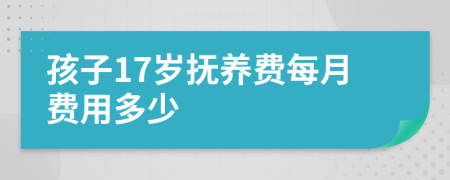 孩子17岁抚养费每月费用多少