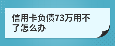 信用卡负债73万用不了怎么办