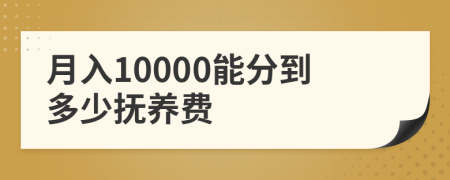 月入10000能分到多少抚养费