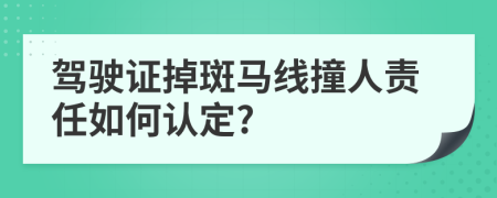 驾驶证掉斑马线撞人责任如何认定?