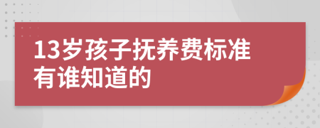13岁孩子抚养费标准有谁知道的