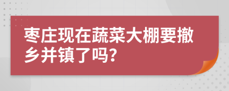 枣庄现在蔬菜大棚要撤乡并镇了吗？