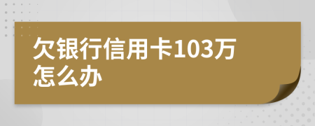 欠银行信用卡103万怎么办