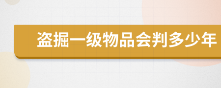 盗掘一级物品会判多少年