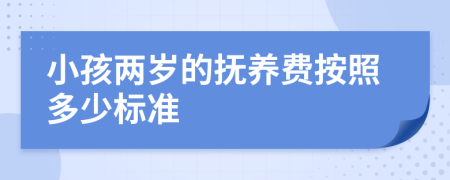 小孩两岁的抚养费按照多少标准