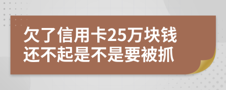 欠了信用卡25万块钱还不起是不是要被抓