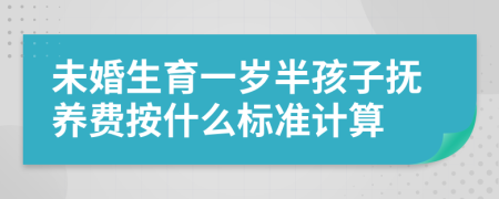 未婚生育一岁半孩子抚养费按什么标准计算