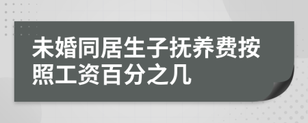 未婚同居生子抚养费按照工资百分之几