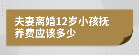 夫妻离婚12岁小孩抚养费应该多少