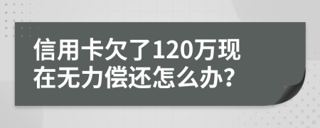 信用卡欠了120万现在无力偿还怎么办？