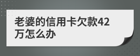 老婆的信用卡欠款42万怎么办