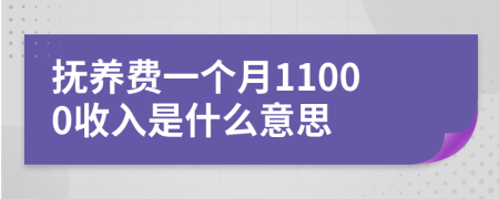 抚养费一个月11000收入是什么意思