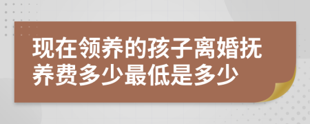 现在领养的孩子离婚抚养费多少最低是多少