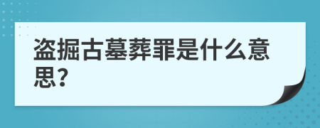 盗掘古墓葬罪是什么意思？