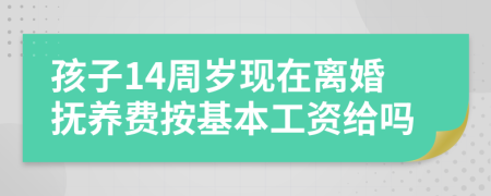 孩子14周岁现在离婚抚养费按基本工资给吗