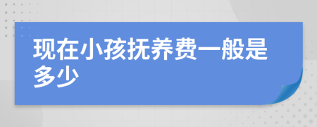 现在小孩抚养费一般是多少