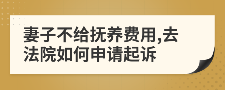 妻子不给抚养费用,去法院如何申请起诉