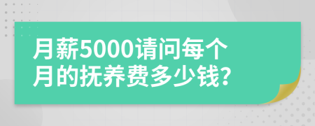 月薪5000请问每个月的抚养费多少钱？