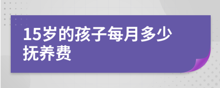 15岁的孩子每月多少抚养费