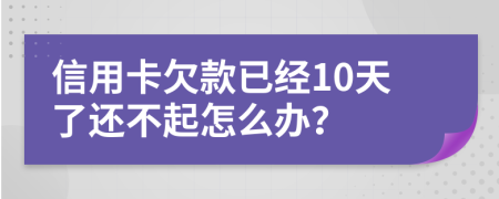信用卡欠款已经10天了还不起怎么办？