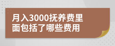 月入3000抚养费里面包括了哪些费用