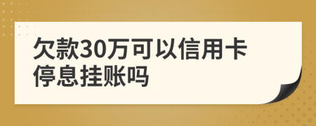 欠款30万可以信用卡停息挂账吗