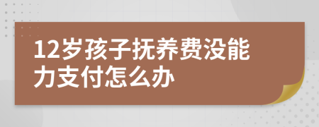 12岁孩子抚养费没能力支付怎么办